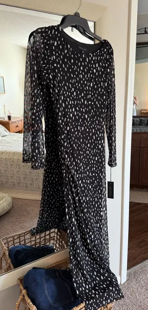 Rachel Zoe maxi dress thumbnail 1