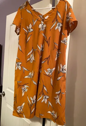 A New Day Dress thumbnail 1