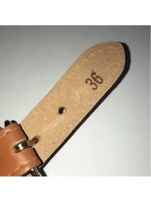 Canvas Stripe Belt with Tan Leather Accents thumbnail 4