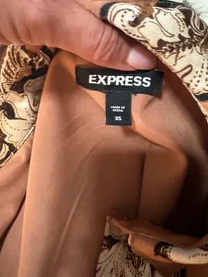 Express Silk Dress thumbnail 4