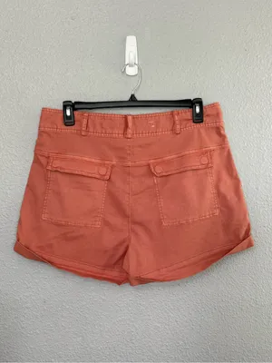 NWT Pilcro Relaxed Pleat Shorts in Sienna Size 32 High Rise thumbnail 4