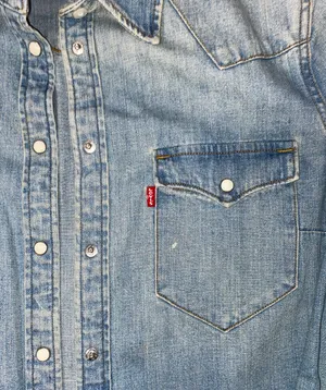 Levi’s Vintage Jean Button Down thumbnail 2