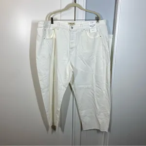 Madewell The Plus Curvy Pieced Barrel-Leg Jean in tile‎ white size 20 20W NWT thumbnail 2