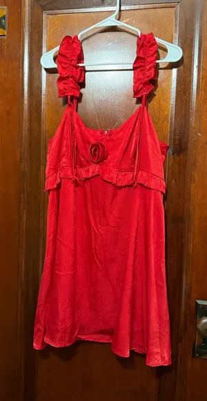 Wild Fable Red Dress thumbnail 1