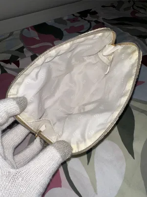 Christian Dior Gold Metallic Embroidered Novelty Cosmetic Pouch thumbnail 7