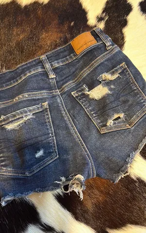 American Eagle Shorts thumbnail 3