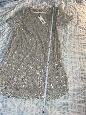 BB Dakota Steve Madden Silver Sequin Mini Shift Dress Size M thumbnail 7