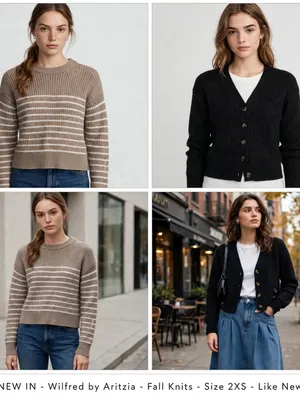 Aritzia Taupe Striped Crewneck Sweater—Fall Fashion Sweater thumbnail 2