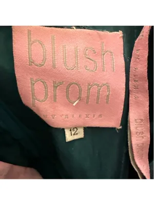 Blush Prom Teal Strapless Teacup Dress Size 12 thumbnail 8