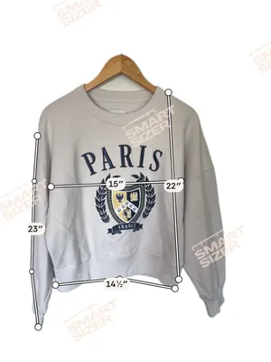 Abercrombie & Fitch Light Gray PARIS Crest Crewneck with Navy & Gold Shield thumbnail 2