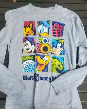 Hanes Gray Disneyland Long Sleeve Tshirt Size Medium Oversized Look thumbnail 1
