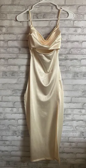 Windsor champagne midi dress thumbnail 1