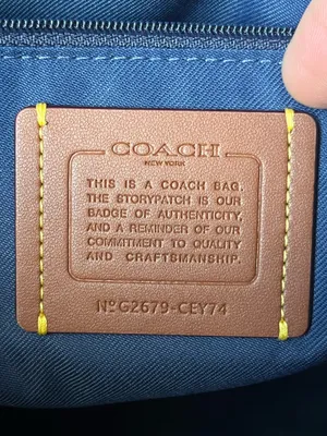 Coach Rowan Large Satchel Bag In Signature Canvas thumbnail 10