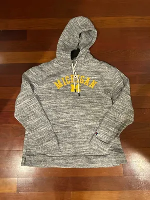 Champion University of Michigan hoodie thumbnail 7