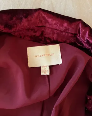 Skies Are Blue Velvet Blazer thumbnail 3