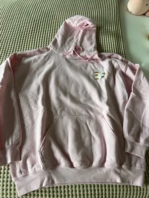 Soft light pink pullover hoodie. Features a small chest graphic logo in cream and gold tones. Front kangaroo pocket. Drawstring hood. Casual and cozy style. thumbnail 1