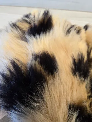 {7} TOMS Susie Eva Leopard Slippers Fuzzy Furry Black Tan Loungewear thumbnail 6