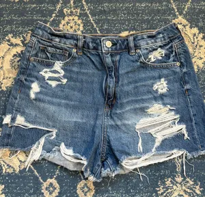 American Eagle Shorts thumbnail 1