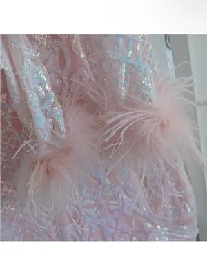 Blondie Nites Sequined Dress With Feathers thumbnail 4