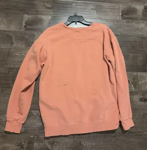 Comfort Colors Pi Beta Phi Sorority Crew Neck thumbnail 2