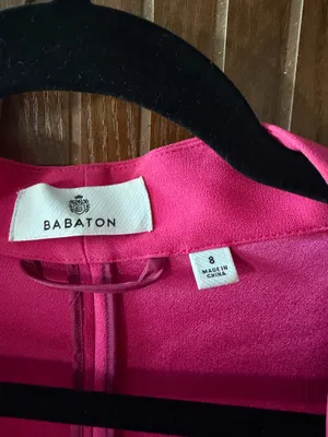 Babaton Aritzia Blazer and Pants thumbnail 3
