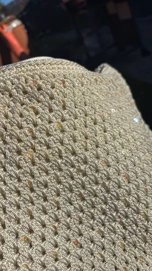 The Sak Purse thumbnail 3