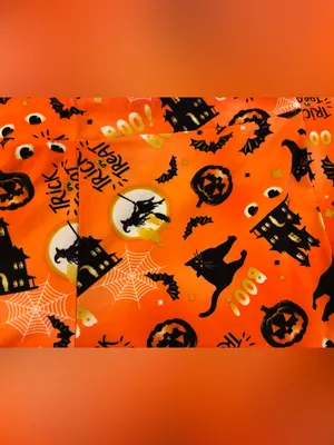Women’s Terra & Sky Brand Halloween Orange Printed Leggings Size 1X thumbnail 6