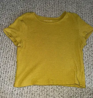 American Eagle Crop Top thumbnail 1