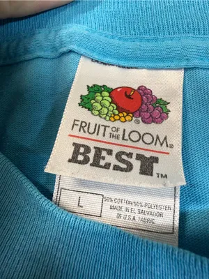 Vintage Fruit of the Loom Single Stitch Blue Babydoll T-Shirt Hummingbird Cactus thumbnail 5