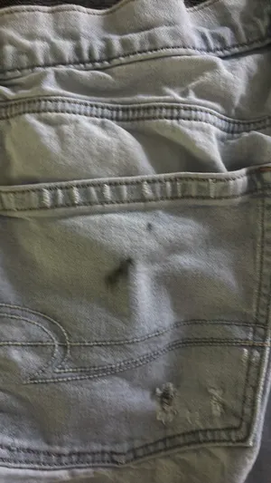American Eagle Shorts thumbnail 2