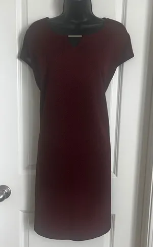 Women's XL Apt 9 Burgundy Animal Print‎ V-Neck Dress thumbnail 1