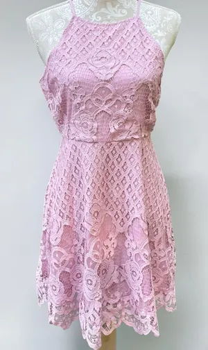 Black Swan Charlotte Lace Dress Size M Blush Pink Skater Fit Flare Wedding Guest thumbnail 1