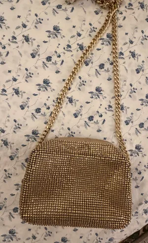 Shiraleah Gold purse thumbnail 1