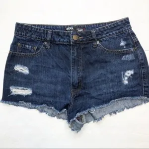 Urban Outfitter‎ Shorts thumbnail 1