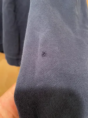 Nike Walter panas panthers softball sweatshirt small small rip on left wrist as seen in picture thumbnail 5