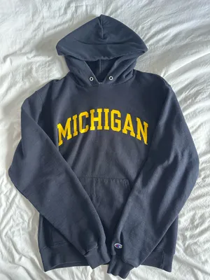 Champion Michigan Hoodie thumbnail 1