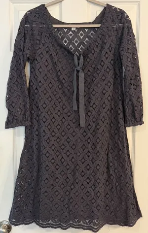 Garnet Hill Lace Dress 4 Slip Liner Gray‎ Knee Length Floral Eyelet Semi-formal thumbnail 1