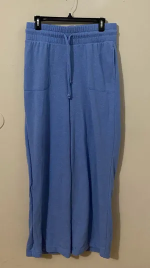 The Sweatshirt Project Light Blue Sweatpants Size L thumbnail 1