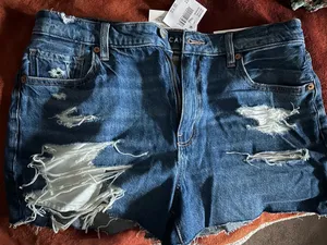 American Eagle Shorts thumbnail 1