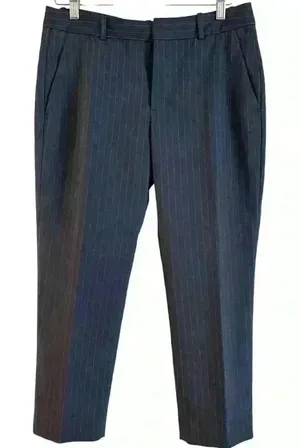 Zara Woman Navy Blue‎ Pin Dot Stripes Business Casual Pants Size M thumbnail 1
