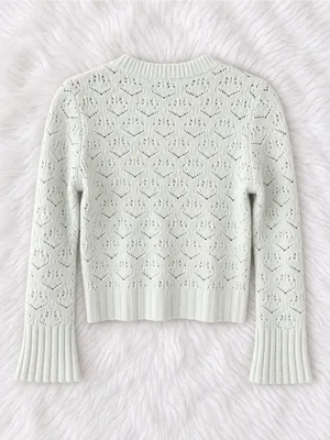 J. Crew Pale Mint Eyelet Crewneck Sweater| 100% Merino Wool thumbnail 2