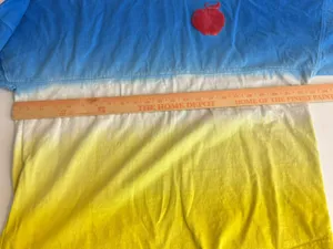 Disney Snow White Spirit Jersey Blue Yellow Ombre Poison Apple Disneyworld Sz M thumbnail 6
