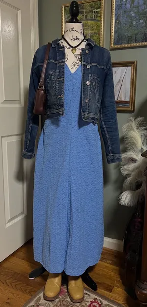 Donna Morgan Blue Eyelet Maxi Dress SZ 10 Cottagecore Coastal Romantic thumbnail 1