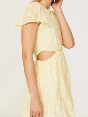 Show Me Your Mumu Merritt Mini Dress thumbnail 2