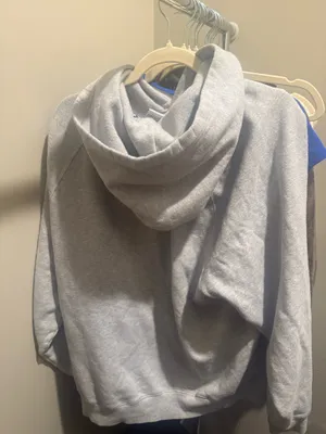 Aritzia Mega Raglan Hoodie thumbnail 2