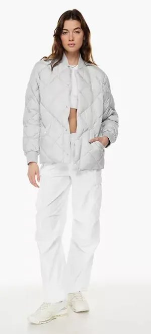 NWT Aritzia TNA Archive Quilted Premium Goose Down Gray Chrome Coat Size XS thumbnail 1
