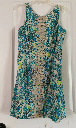 Lilly Pulitzer Dress thumbnail 1