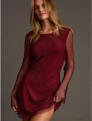 12th Tribe Burgundy Mesh Long-Sleeve Mini Dress thumbnail 1