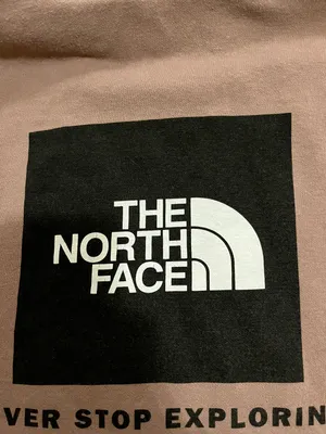 The North Face Hooded Sweatshirt thumbnail 4