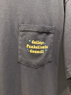 Comfort Colors Valdosta State University 2025 Panhellenic Showcase Short Sleeve Pocket Tee Blue thumbnail 3
